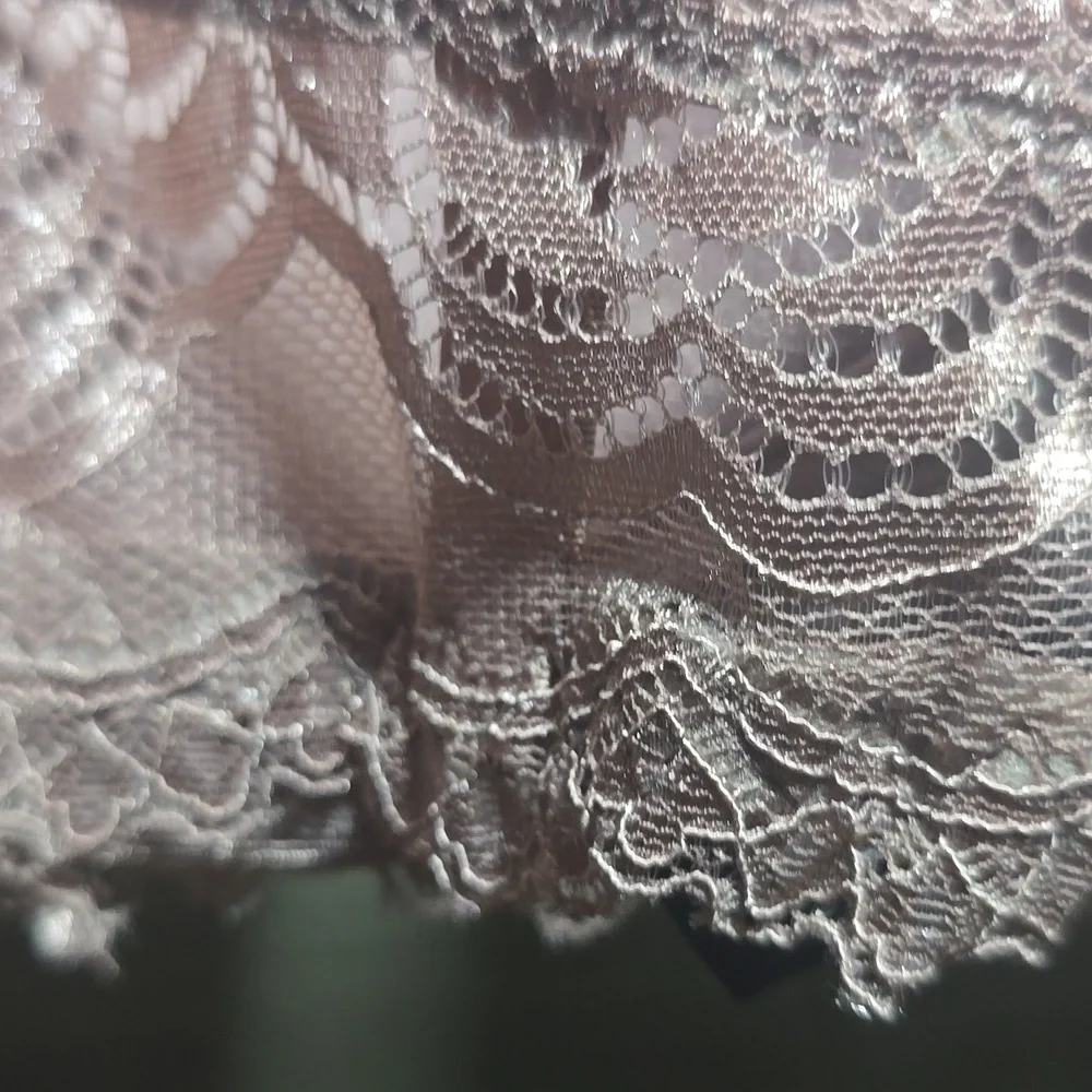 Rene Rofe Lightly Padded Lace Bra - Dusty Rose